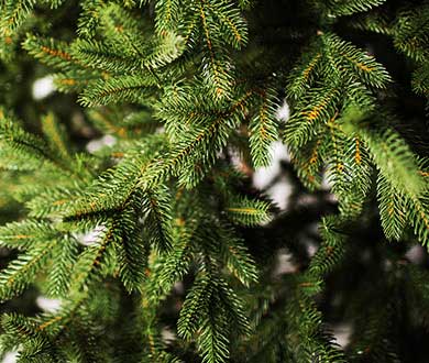 Искусственные ёлки люкс в Санкт-Петербурге