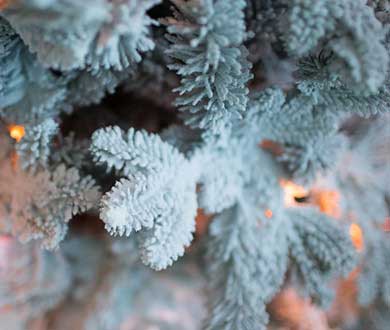 Искусственные заснеженные ёлки в Санкт-Петербурге