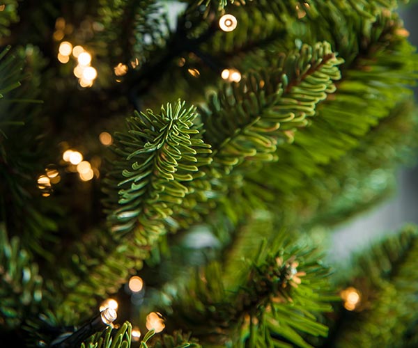 Гирлянды для комнатных ёлок в Санкт-Петербурге